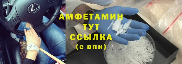 индика Вяземский