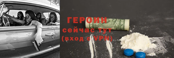 индика Вяземский