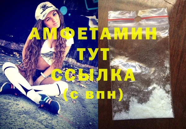 индика Вяземский
