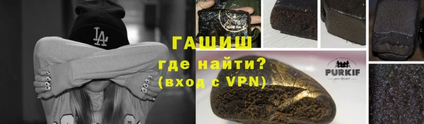 индика Вяземский