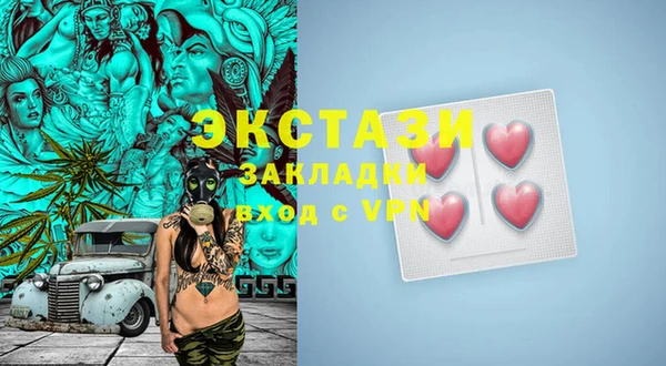 индика Вяземский