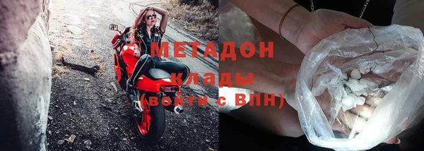 индика Вяземский