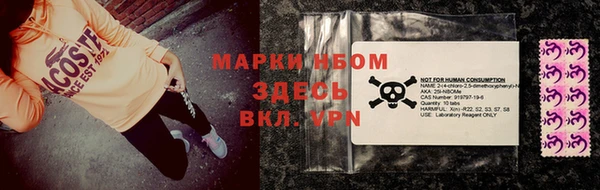 индика Вяземский