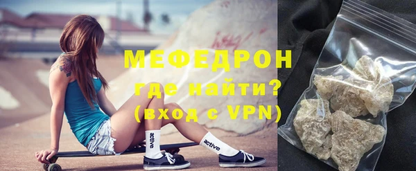 индика Вяземский