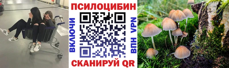 Псилоцибиновые грибы MAGIC MUSHROOMS  кракен ТОР  Гусиноозёрск  купить наркотик 